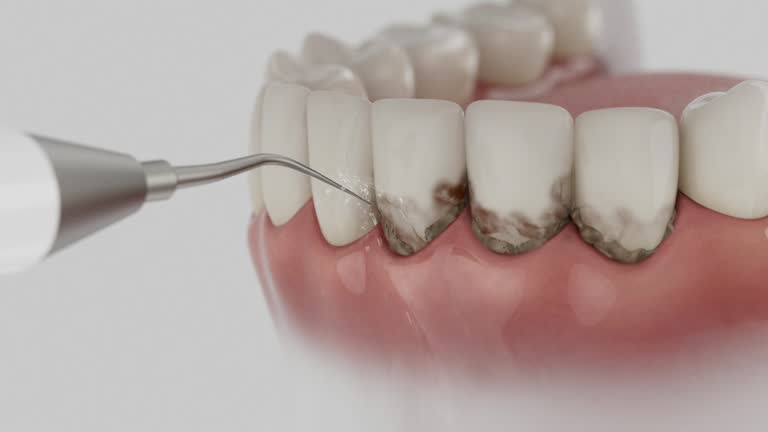 Reliable Dental contractor in Franklin, VA by Dentist Open Now